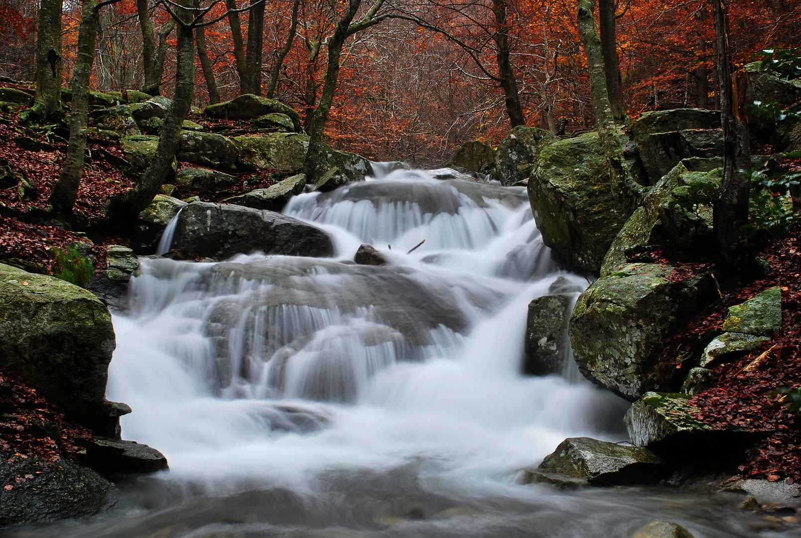 Santa Fe del Montseny